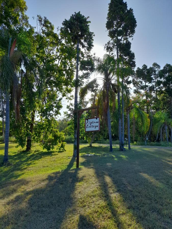 Figtree Cottage - Homestay - Yeppoon Esterno foto